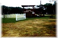 Bonnie Saddle Club